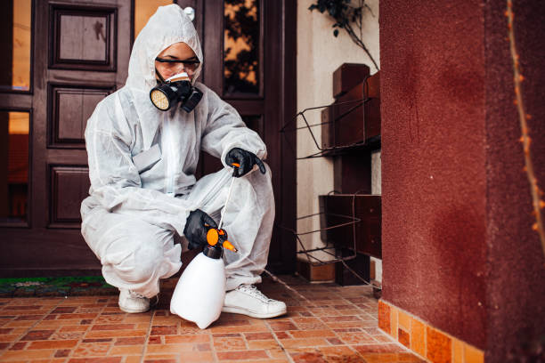Attic and Crawl Space Rodent Treatment in Pine Air